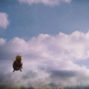 Pond - Stung