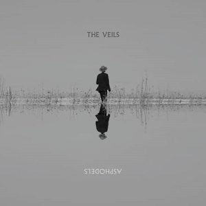 The Veils